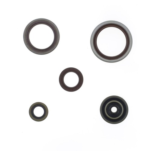 Motordichtring satz beta - beta, rr